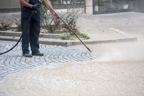 Best Restaurant Pressure Washing  in Magnolia Springs, AL