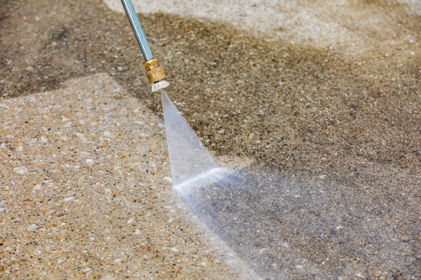 Best Sidewalk and Walkway Cleaning  in Magnolia Springs, AL